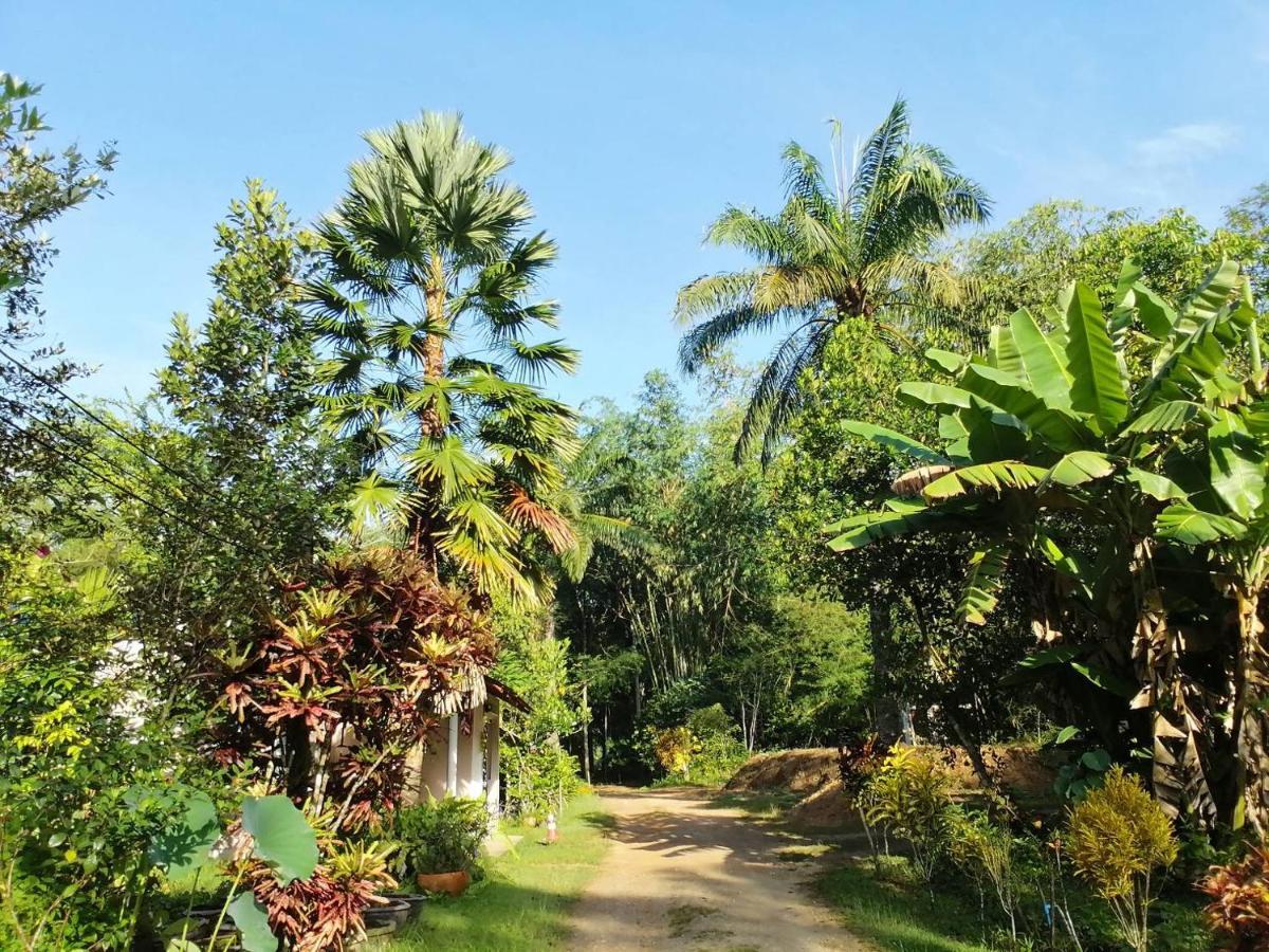 Suan Bang Bon Guest House Plai Phraya Eksteriør bilde