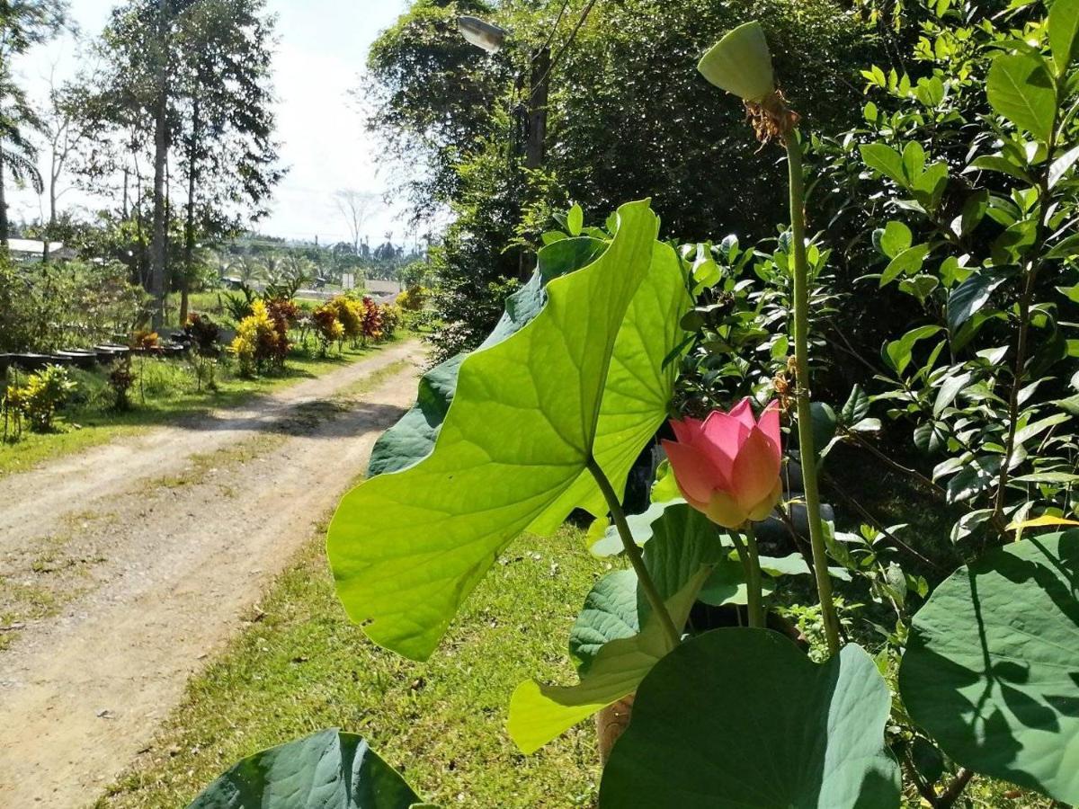 Suan Bang Bon Guest House Plai Phraya Eksteriør bilde