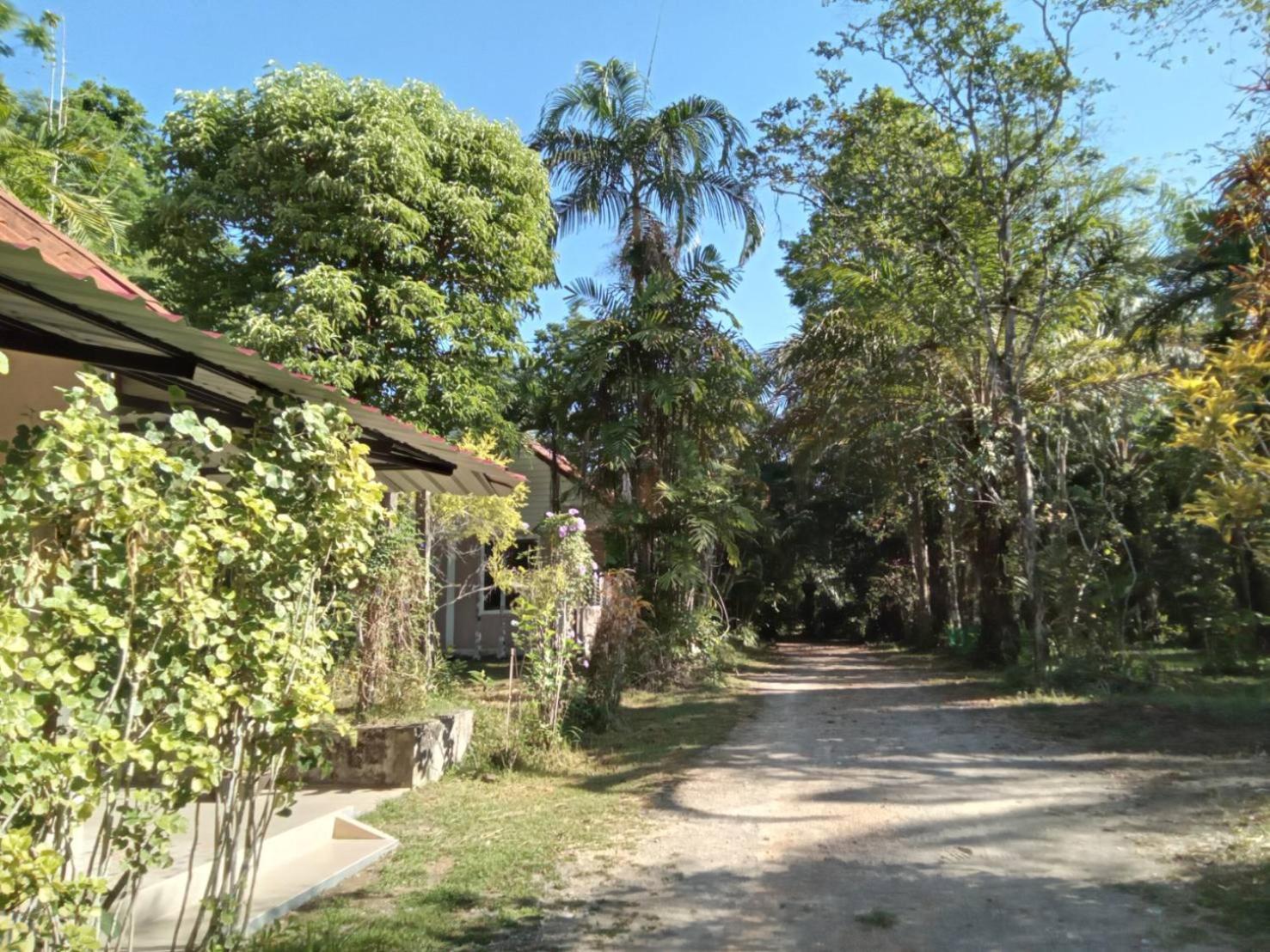 Suan Bang Bon Guest House Plai Phraya Eksteriør bilde