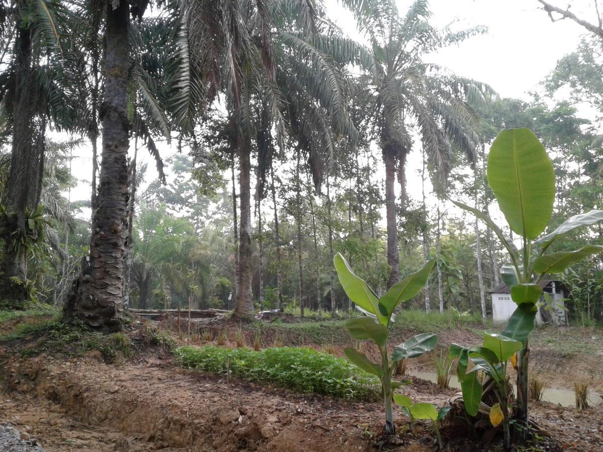Suan Bang Bon Guest House Plai Phraya Eksteriør bilde